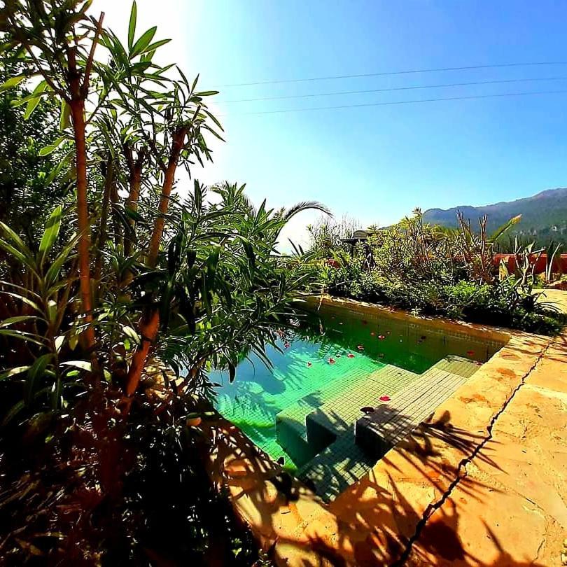Ddg Retreat Hotel Casares Ngoại thất bức ảnh