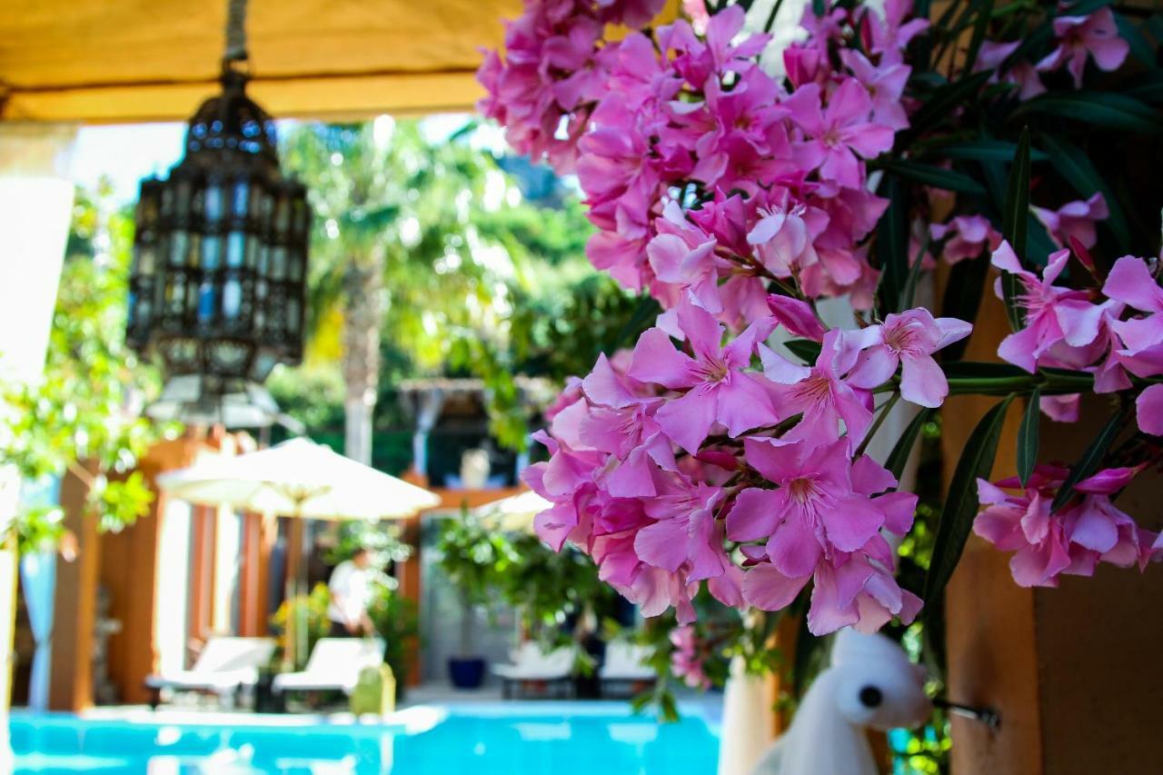 Ddg Retreat Hotel Casares Ngoại thất bức ảnh